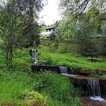 Wohn-Eitel Sonnenblick Lägenhet Bad Wildbad Exteriör bild